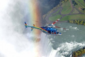 The Beauty and Power of the Falls