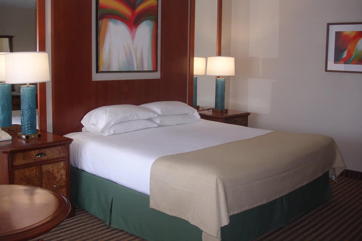 One King Bed Room Holiday Inn By The Falls