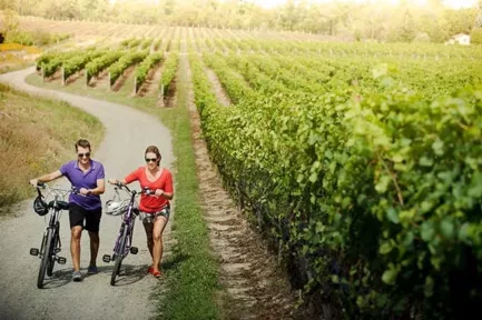 Cycling in Niagara