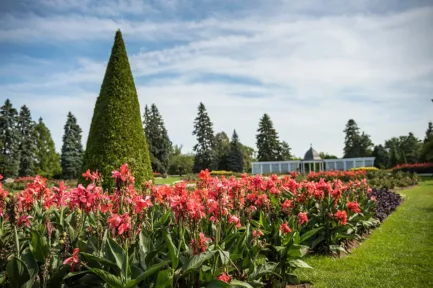 Flowers blooming in the Botanical Gardens in Niagara Falls